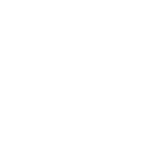 <em>TechDynasticX </em>is Delivering Excellence in IT Recruitment